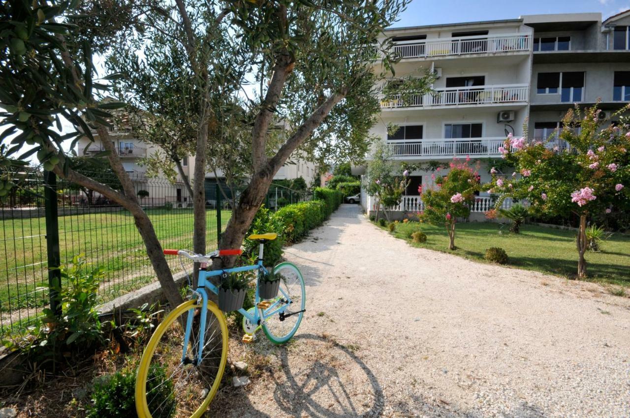 Olive Trogir